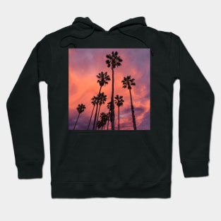 Palm Trees Hoodie